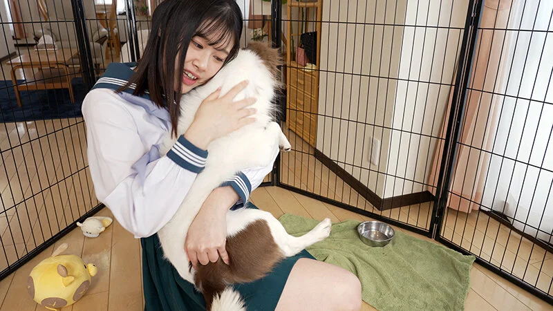 転生したら（天使のような巨乳女子校生の）犬だった件 白石なぎさ